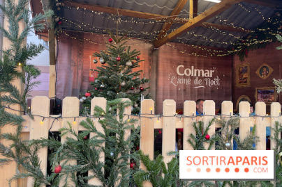Hôtel Esquisse et marché de Noël de Colmar