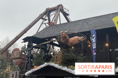 Europa Park : Parc d'attraction  - IMG 3225