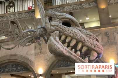 Hôtel Krønasår : Aventure 4 Étoiles près de Rulantica à Europa Park - IMG 2973