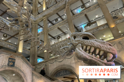 Hôtel Krønasår : Aventure 4 Étoiles près de Rulantica à Europa Park - IMG 2974