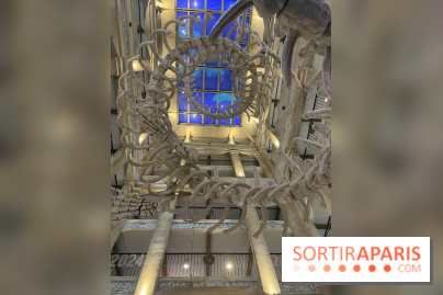 Hôtel Krønasår : Aventure 4 Étoiles près de Rulantica à Europa Park - IMG 2987