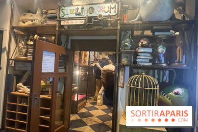 Hôtel Krønasår : Aventure 4 Étoiles près de Rulantica à Europa Park - IMG 2991