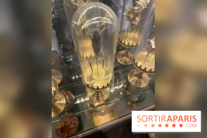 Rulantica à Europa Park - IMG 3611