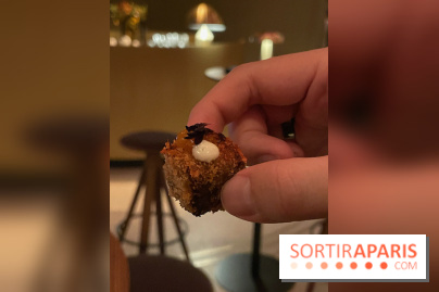 Eatrenalin à Europa Park - IMG 3111