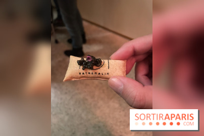 Eatrenalin à Europa Park - IMG 3119