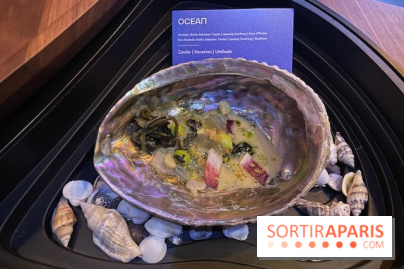 Eatrenalin à Europa Park - IMG 3135