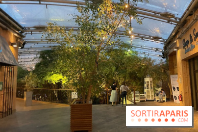 Center Parcs Lac d'Ailette - IMG 7596