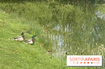 Center Parcs Lac d'Ailette - IMG 7613