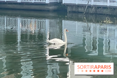 Center Parcs Lac d'Ailette - IMG 7614