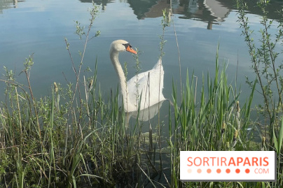 Center Parcs Lac d'Ailette - IMG 7615