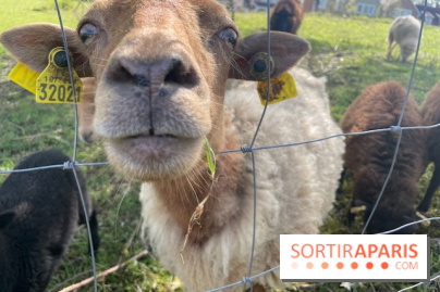 Center Parcs Lac d'Ailette - IMG 7621