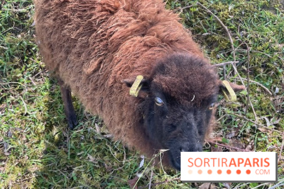 Center Parcs Lac d'Ailette - IMG 7622