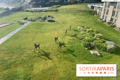 Emeria Dinard