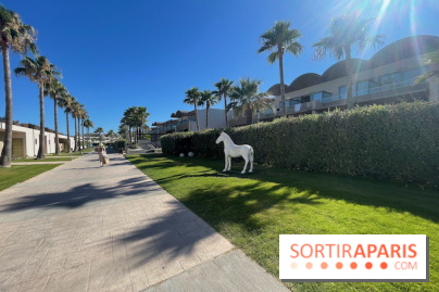 Avra Imperial Hotel en Crète : nos photos - IMG 2283