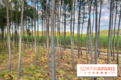 Center Parcs Landes de Gascogne : Nos Photos