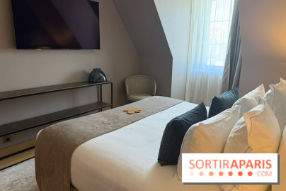 Chambre avec télévision à Fleur de Loire
