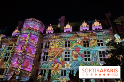 Projection florale du Son et Lumière