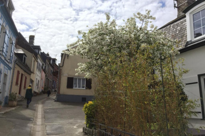 Photos Baie de Somme