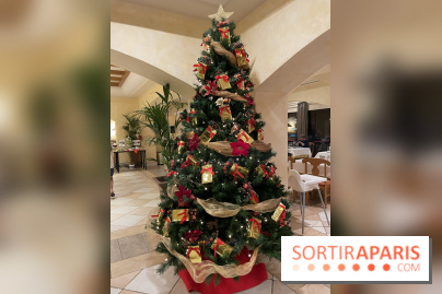 Hôtel Sheraton Fuerteventura  Beach, Golf and Spa Resort