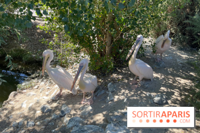 CenterParcs : Domaine Le Bois aux Daims et ses alentours