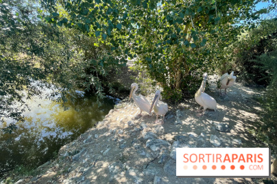 CenterParcs : Domaine Le Bois aux Daims et ses alentours