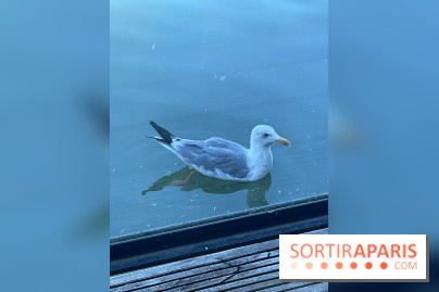 CenterParcs : Domaine Le Bois aux Daims et ses alentours