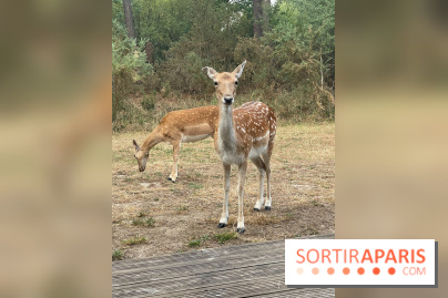 CenterParcs : Domaine Le Bois aux Daims et ses alentours