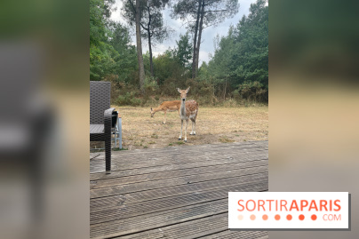 CenterParcs : Domaine Le Bois aux Daims et ses alentours