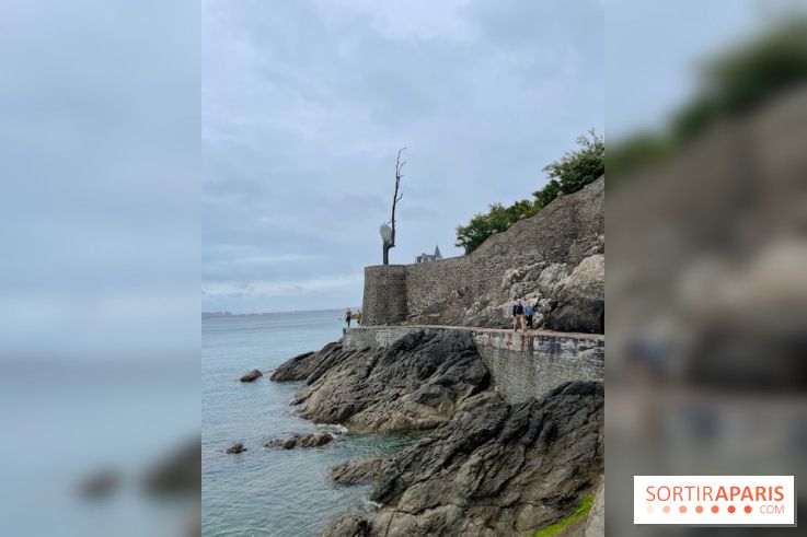 Villa Reine Hortense à Dinard : nos photos - IMG 1050