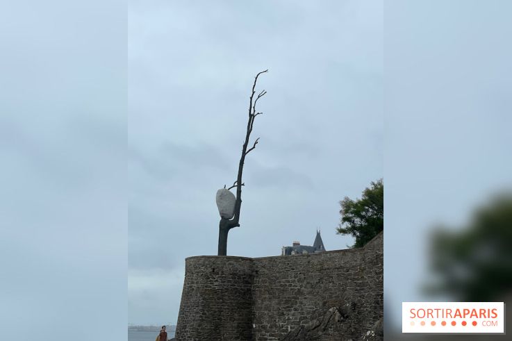 Villa Reine Hortense à Dinard : nos photos - IMG 1051