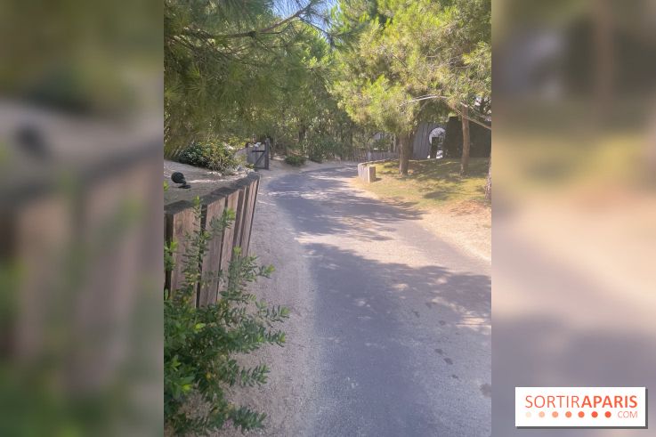 Plage Palace à Palavas les flots : nos photos  - Allée