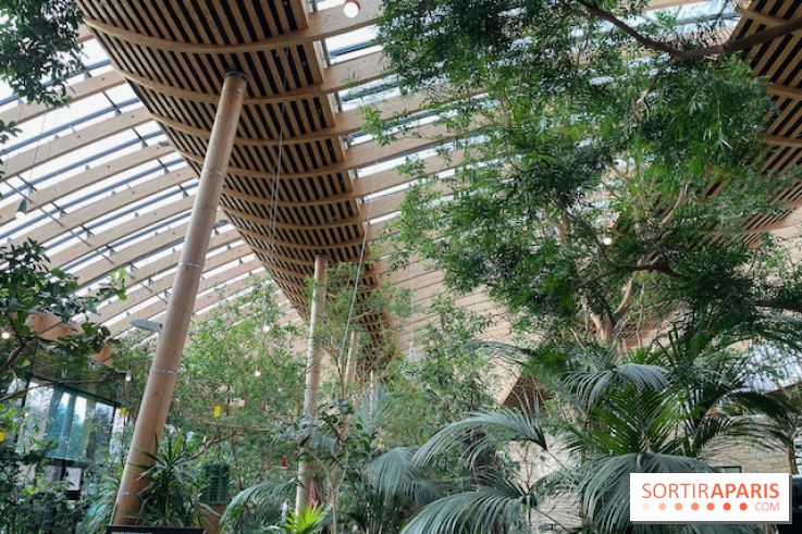 Center Parcs Les Trois Forêts - IMG 2379