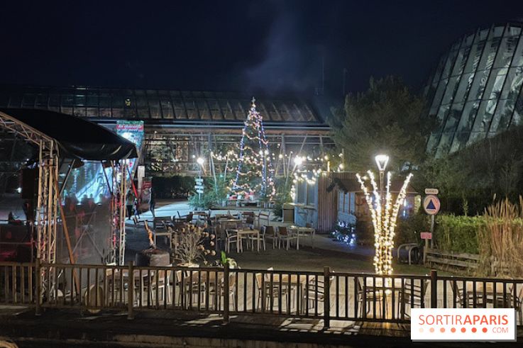 Center Parcs Les Trois Forêts - IMG 2420