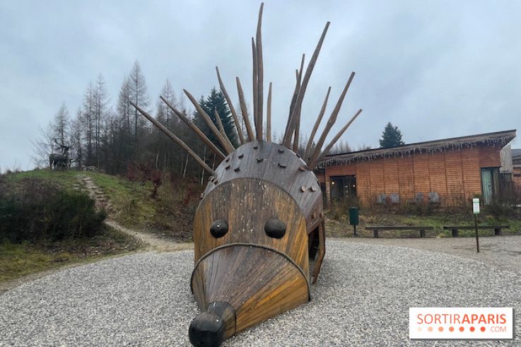 Center Parcs Les Trois Forêts - IMG 2476