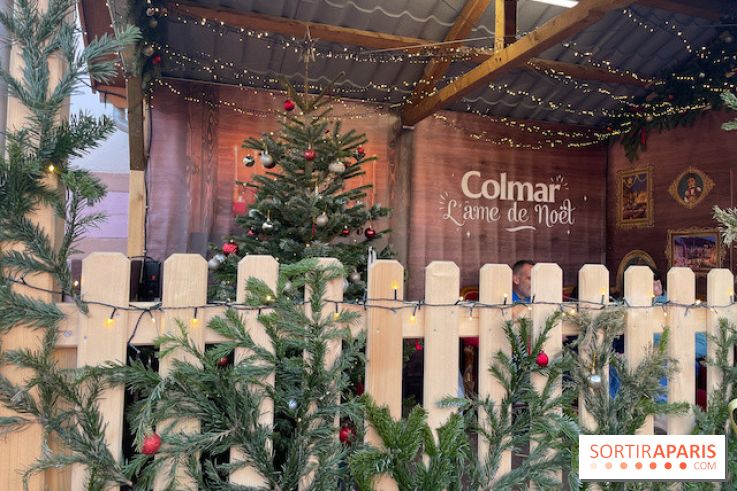 Hôtel Esquisse et marché de Noël de Colmar