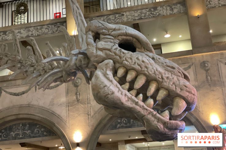 Hôtel Krønasår : Aventure 4 Étoiles près de Rulantica à Europa Park - IMG 2973