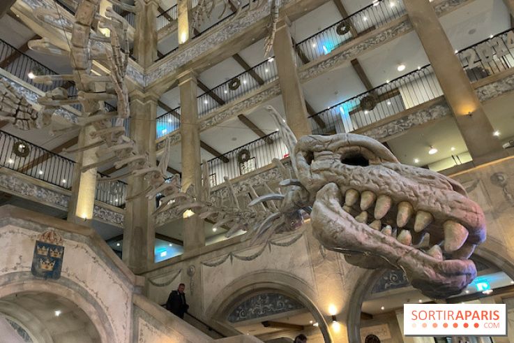 Hôtel Krønasår : Aventure 4 Étoiles près de Rulantica à Europa Park - IMG 2974