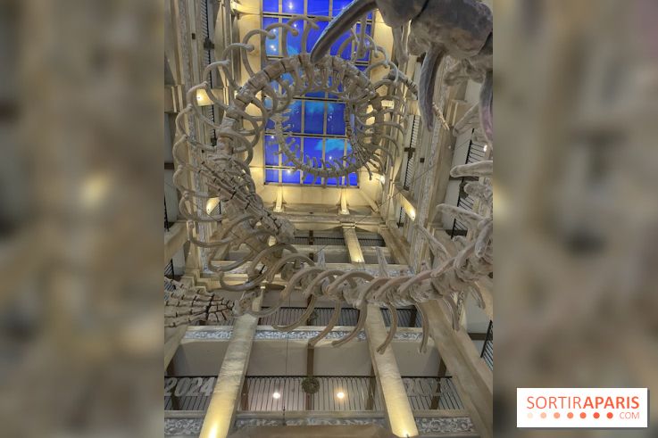 Hôtel Krønasår : Aventure 4 Étoiles près de Rulantica à Europa Park - IMG 2987