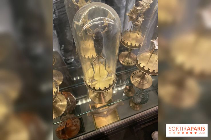 Rulantica à Europa Park