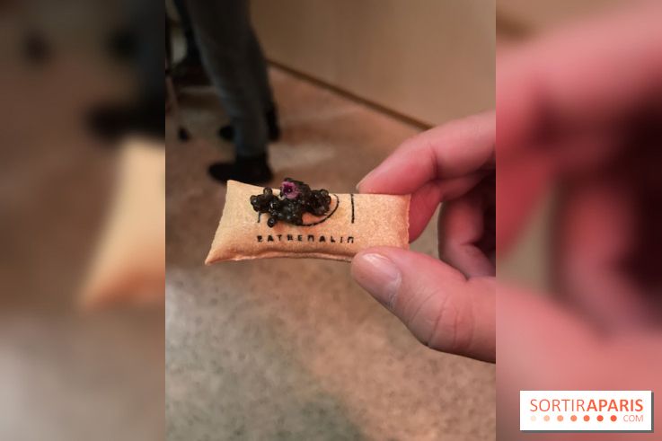 Eatrenalin à Europa Park - IMG 3119