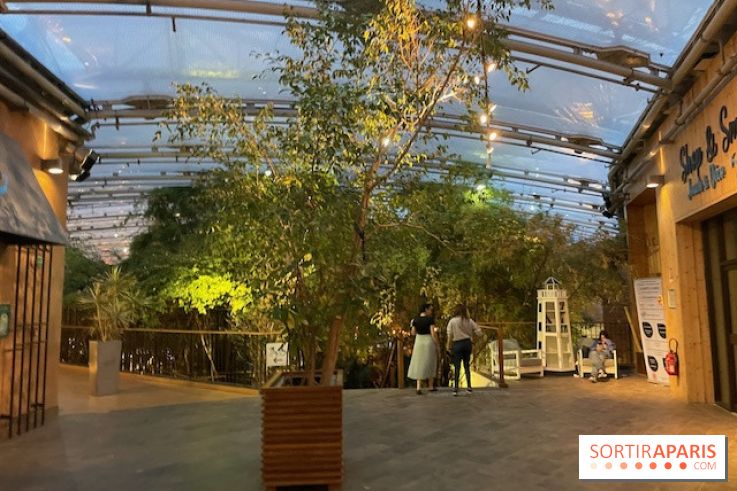 Center Parcs Lac d'Ailette - IMG 7596