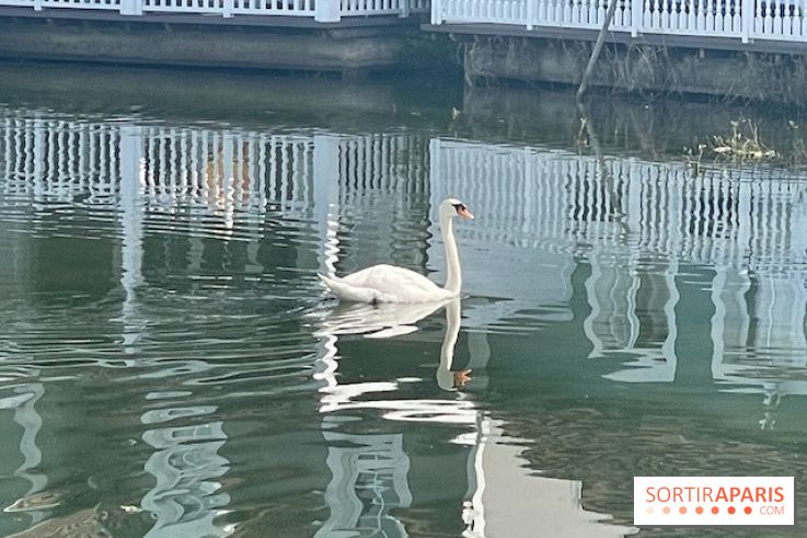 Center Parcs Lac d'Ailette - IMG 7614