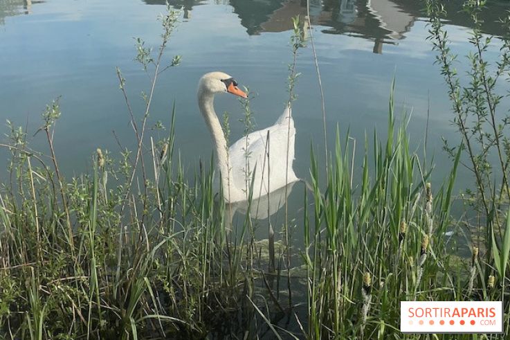 Center Parcs Lac d'Ailette - IMG 7615