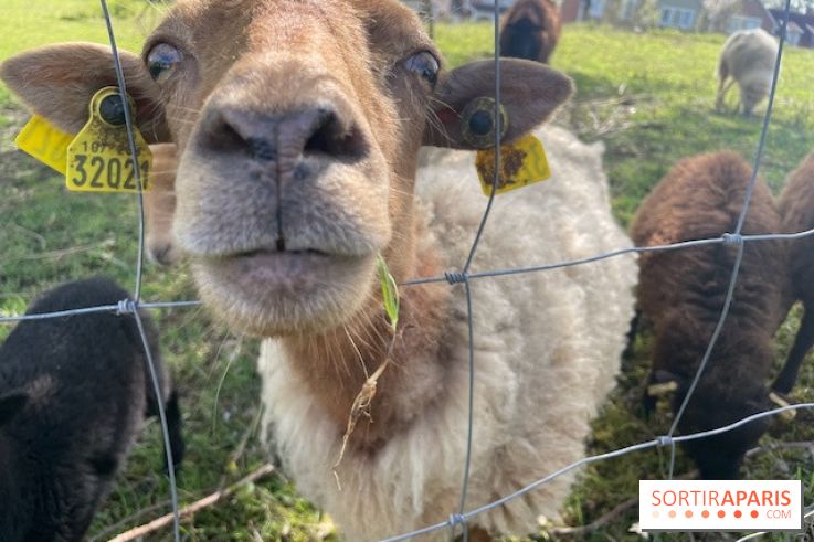 Center Parcs Lac d'Ailette - IMG 7621