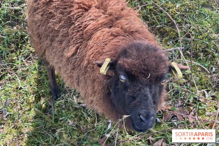 Center Parcs Lac d'Ailette - IMG 7622