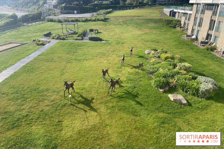 Emeria Dinard