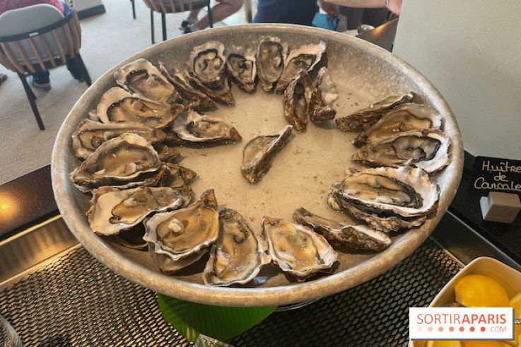 Emeria Dinard - IMG 8529