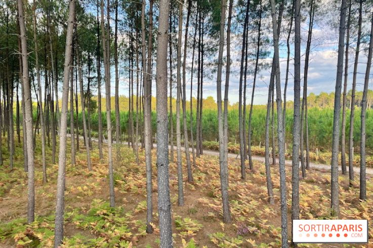 Center Parcs Landes de Gascogne : Nos Photos