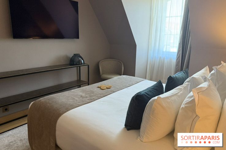 Chambre avec télévision à Fleur de Loire