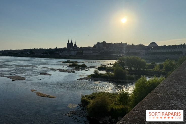 Vue sur Blois au coucher du soleil